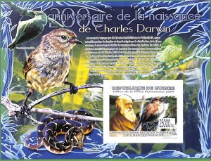 A0564 - GUINEE Guinea - ERROR MISSPERF SHEET - BIRDS  Charles Darwin 2009