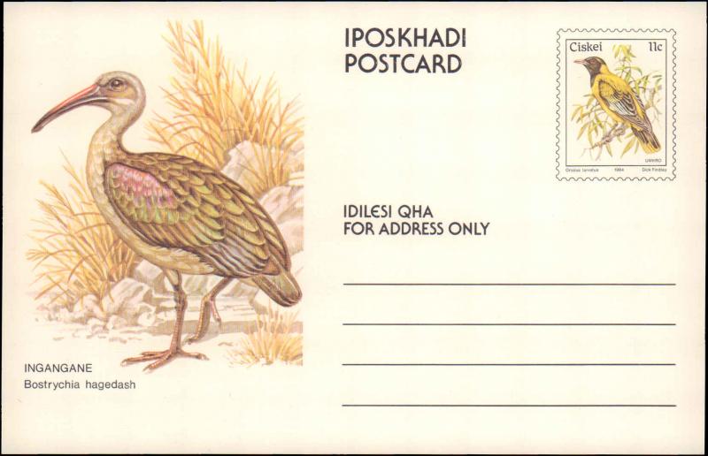 South Africa, Ciskei, Government Postal Card, Birds