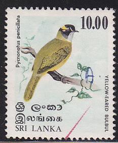 Sri Lanka 569 Yellow-Eared Bulbul 1979