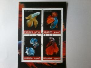 UGANDA SHEET USED FISHES AQUARIUM BETTA MARINE LIFE