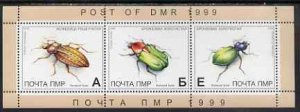 TRANSDNISTRIA - 1999 - Insects - Perf 3v Sheet - Mint Never Hinged