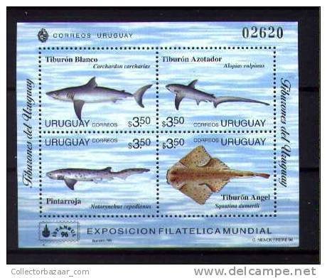 URUGUAY STAMP MNH marine life fish sharks Istambul '96 SCOTT   #1633