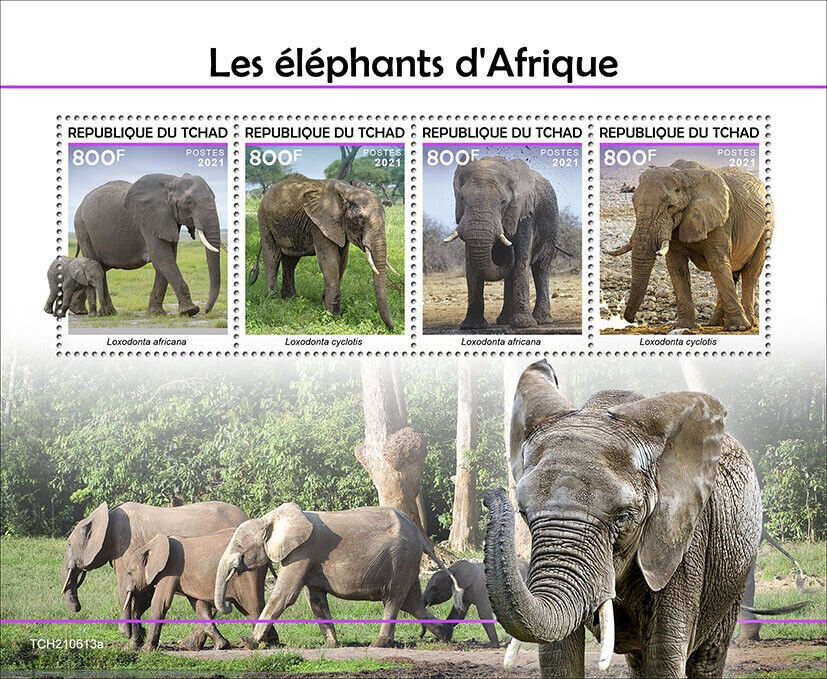 Chad 2021 MNH Wild Animals Stamps Elephants African Forest Bush Elephant 4v M/S | Africa - Chad, Stamp / HipStamp Chad 2021 MNH Wild Animals Stamps Elephants African Forest Bush Elephant 4v M/S | Africa - Chad, Stamp / HipStamp