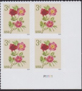 5899 Peonies Plate Block MNH