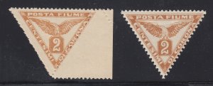 Fiume Sc P2-P3 MNH. 1919 Newspaper stamps, complete set, triangulars