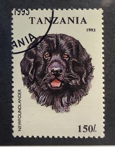 Tanzania 1993 Scott 1149 CTO - 150sh, Dog, Newfoundland Dog