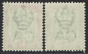 BRITISH CENTRAL AFRICA NYASALAND 1901 ARMS 1D AND 6D */**