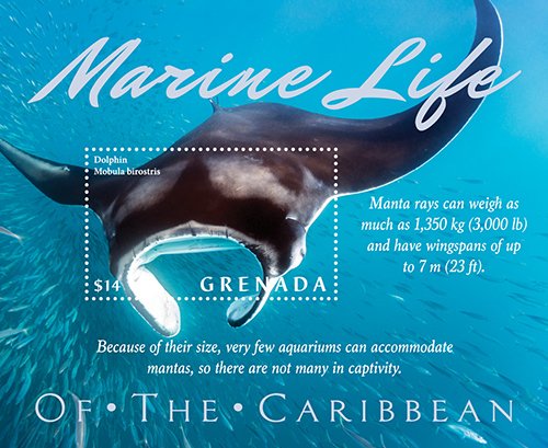 YEAR 2021/06- GRENADA - MARINE LIFE                1V complet set    MNH ** T