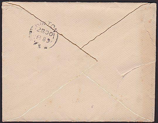 NEW SOUTH WALES 1889 cover numberal cancel 121 of HINTON to Sydney..........3701