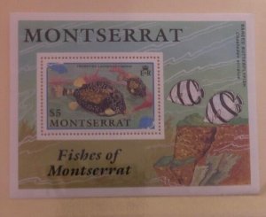 Souvenir Sheet Scott Montserrat #762 NH