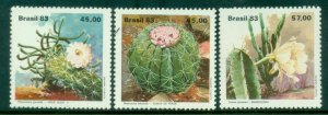 Brazil 1983 Cacti MLH