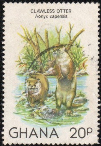 Ghana 782 - Used - 20p Clawless Otter (1982)