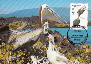 British Virgin Islands 1988 Maxicard Sc #624 25c Brown pelican WWF