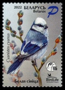 2022 Belarus 1441 Bird of the year. Blue tit