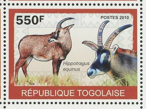 Antelopes Stamp Alcelaphus Buselaphus Major Hippotragus Equinus S/S MNH #3449