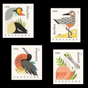 US 4991b-4994b Coastal Birds Postcard imperf NDC set 4 MNH 2015