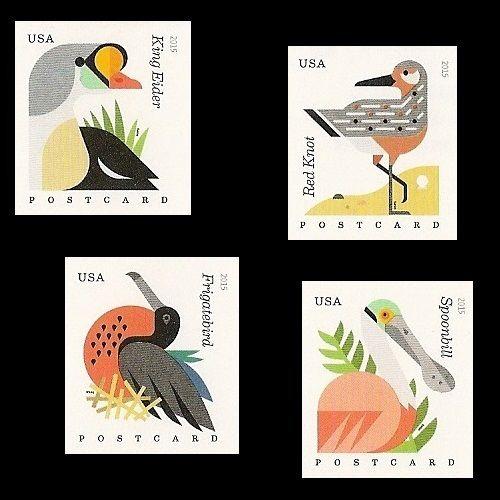 US 4991b-4994b Coastal Birds Postcard imperf NDC set (4 stamps) MNH 2015 |  United States, General Issue Stamp