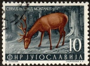 Yugoslavia 400 - Cto - 10d Red Deer (1954)