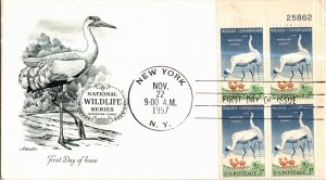 United States, New York, United States First Day Cover, Birds