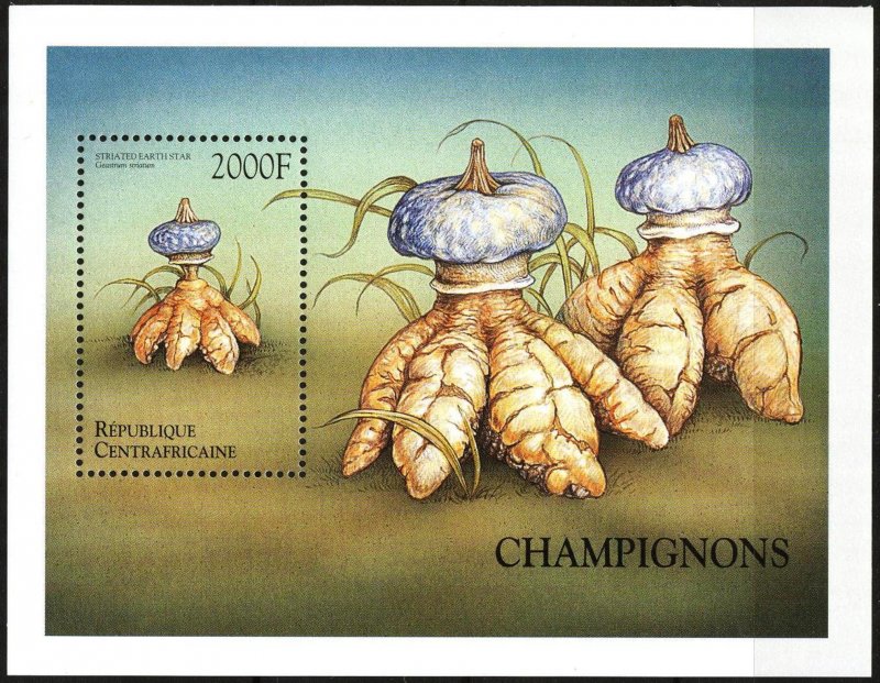 Central African 1999 Mushrooms S/S MNH