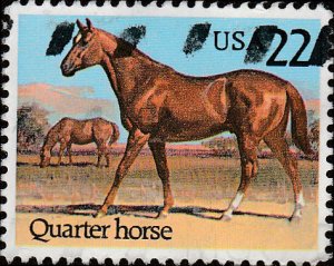 # 2155 USED QUARTER HORSE