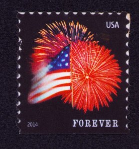 US Scott #4869 Forever No Micro Printing MNH 2014