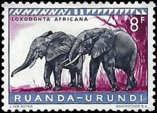 RUANDA-URUNDI   #147 MH (1)