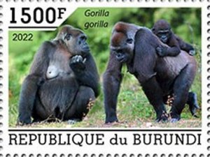 Burundi - 2022 Western Gorillas - Stamp - BUR2201003a