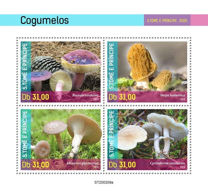 SAO TOME - 2020 - Mushrooms - Perf 4v Sheet - Mint Never Hinged