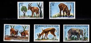 Burkina Faso Upper Volta Scott 577-581 MNH** wildlife set