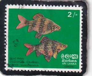 Sri Lanka   #   476   used