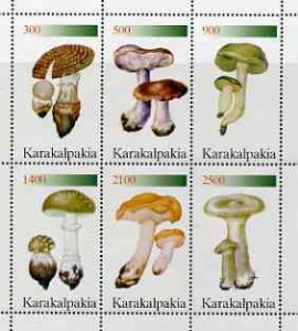 KARAKALPAKIA - 1998 - Fungi - Perf 6v Sheet - Mint Never Hinged