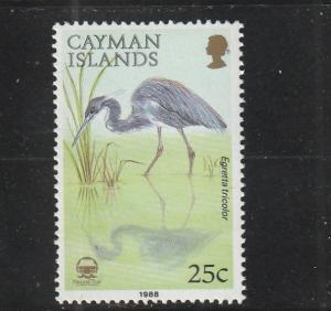 Cayman Islands  Scott#  595  MNH