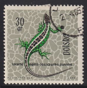 Poland 1134 Sand Lizard 1963