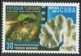 CUBA Sc# 5252  CORAL & FISH Marine Photography  30c 2011  MNH