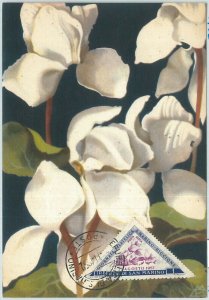 72678 - SAN MARINO - Postal History - MAXIMUM CARD - FLOWERS 1952-