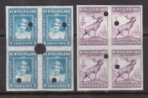 Newfoundland #256ii - #257vii XF/NH Imperf Blocks With Security Punch