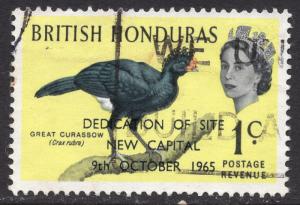 British Honduras Scott 195