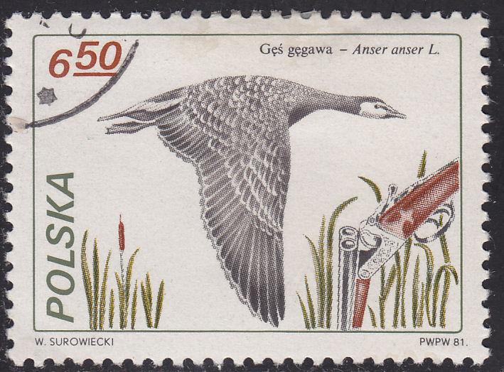 Poland 2454 Greylag Goose 6.50zł 1981