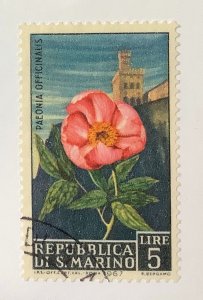 San Marino 1967 Scott 654 used - 5L,  Flowers, Peony