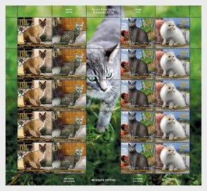 2009 Bosnia & Herzegovina cats FS30 (Scott 366) MNH