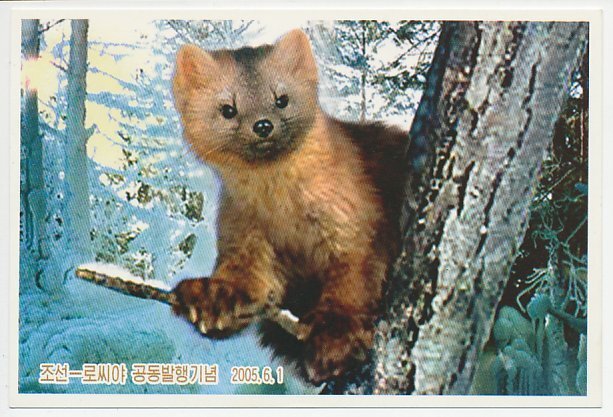 Postal stationery Korea 2005 Marten - Weasel