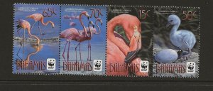 Thematic birds Bahamas 2012 Caribbean Flamingo sg.1616-9 strip of 4  MNH