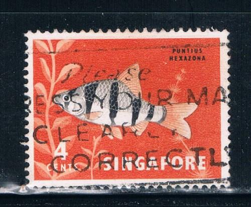 Singapore #54 Used Tropical Fish (S0274)