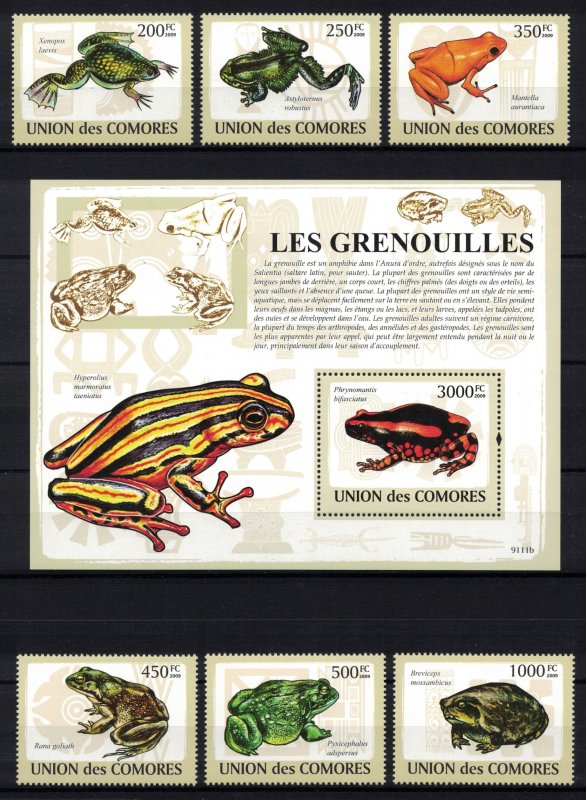 COMORO 2009 - Amphibians,  frogs/complete set + sheet MNH