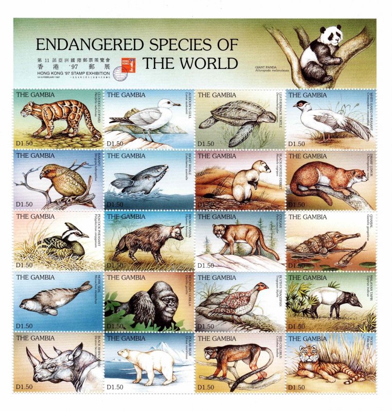 Gambia 1997 Souvenir Sheet MNH Endangered Species of the World Hong Kong S/S