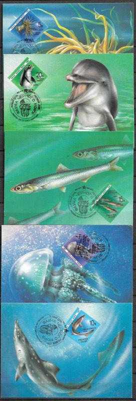 RUSSIA STAMPS 1991 SET OF 5 MAXI CARDS MC MAXIMUM CARDS FAUNA OF THE BLACK SEA