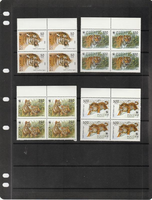 Russia  Scott#  6178-6181  MNH  Blocks of 4  (1993 Tiger)