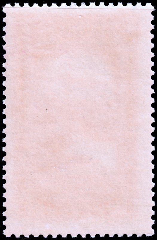 Algeria #B22  Unused MOG - 1fr View of Ghardaia semi-postal (1930)