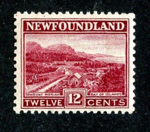 103 Newfoundland 1923 scott #141  m* (offers welcome)